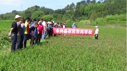 把農(nóng)技推廣服務(wù)辦在田間地頭——記永興縣農(nóng)業(yè)農(nóng)村局開(kāi)展“學(xué)黨史為群眾辦實(shí)事”農(nóng)業(yè)技術(shù)推廣活動(dòng)