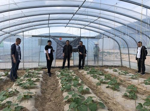 學(xué)黨史砥礪初心 強(qiáng)技術(shù)服務(wù)三農(nóng)——市農(nóng)業(yè)技術(shù)推廣中心站扎實(shí)開(kāi)展“我為農(nóng)民辦實(shí)事”實(shí)踐活動(dòng)