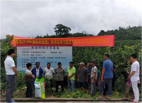 瑞麗市召開(kāi)2018年農(nóng)技推廣補(bǔ)助項(xiàng)目基地物資發(fā)放暨現(xiàn)場(chǎng)觀摩培訓(xùn)會(huì)